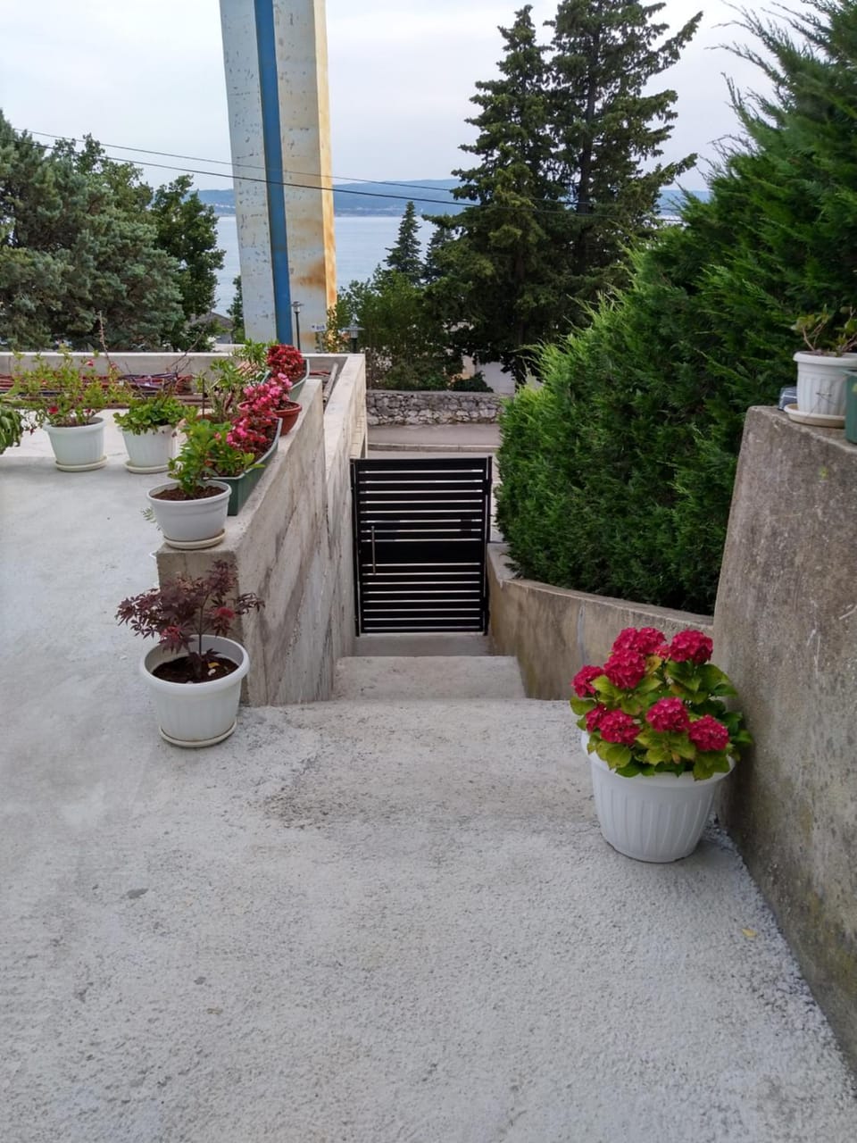 Day, Balcony/Terrace