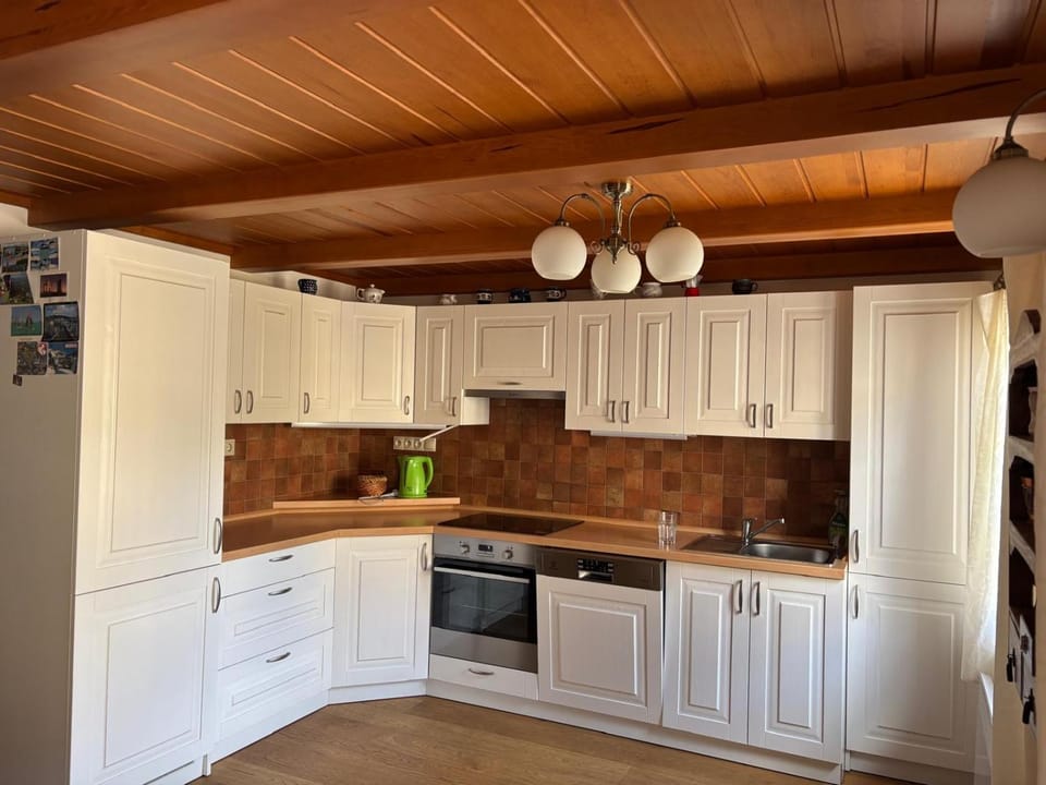 Kitchen or kitchenette, dishwasher, stove
