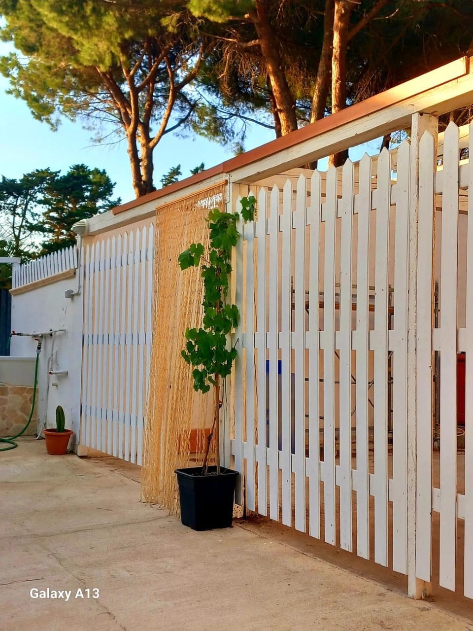 Day, Garden, Garden view