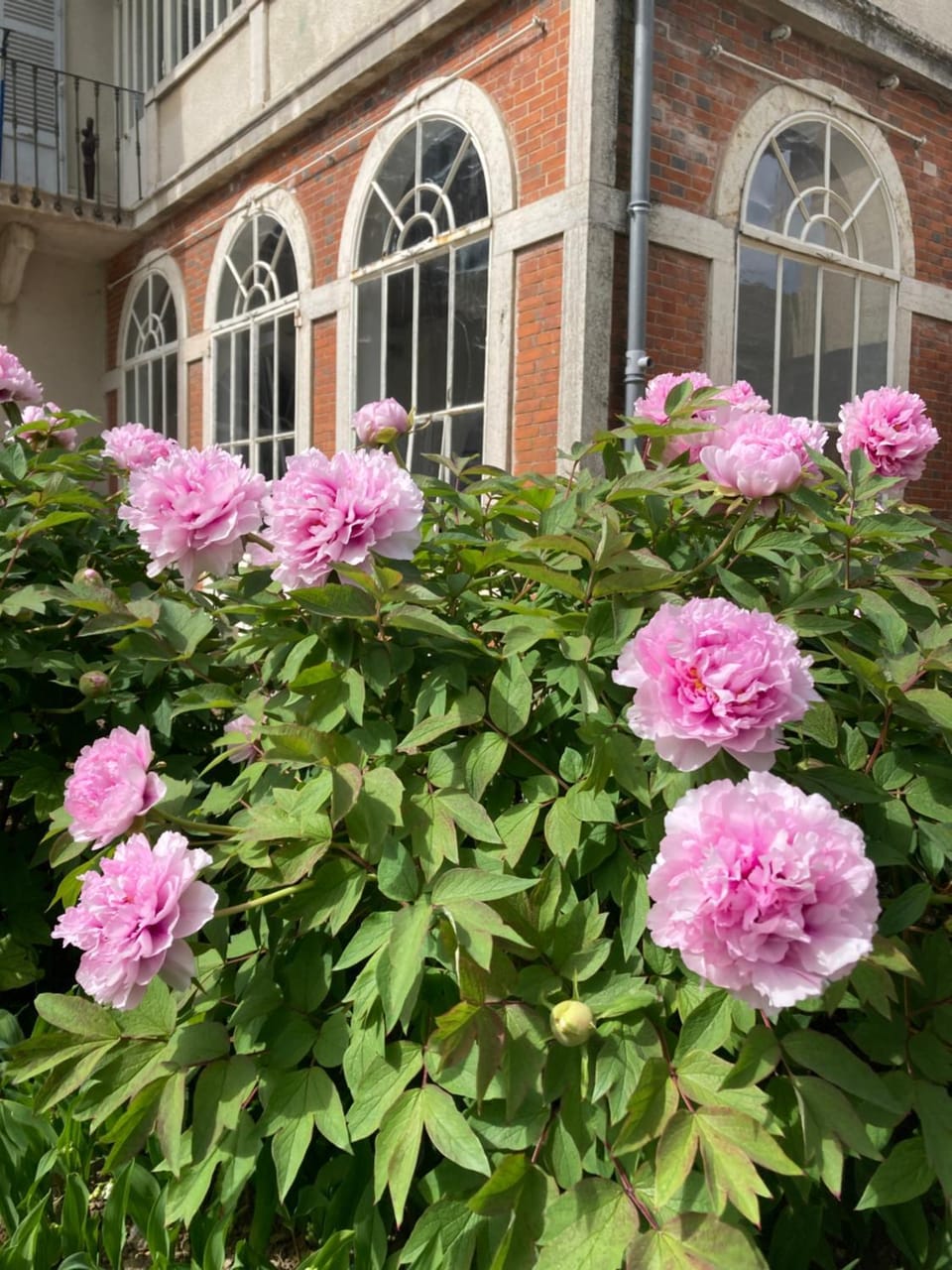 Spring, Day, Garden view