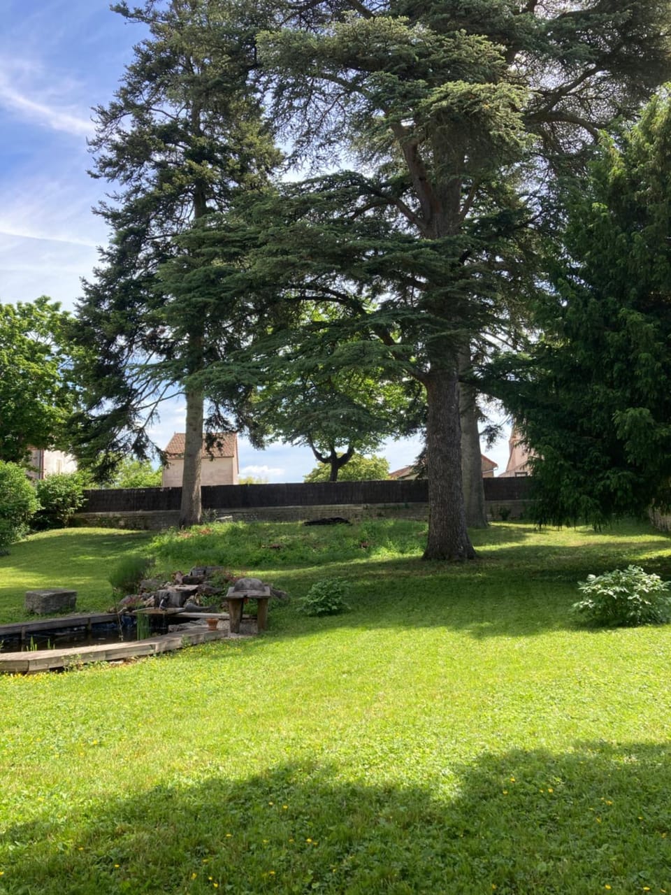 Spring, Natural landscape, Garden view