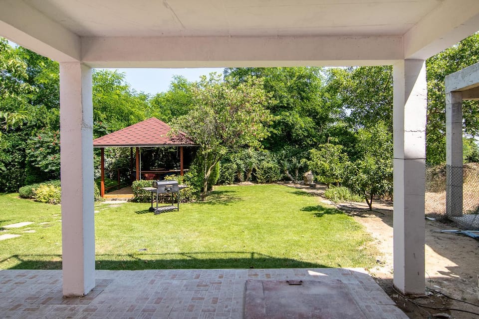 Garden, Garden, Seating area, Garden view