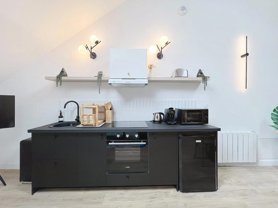 Kitchen or kitchenette, kitchen