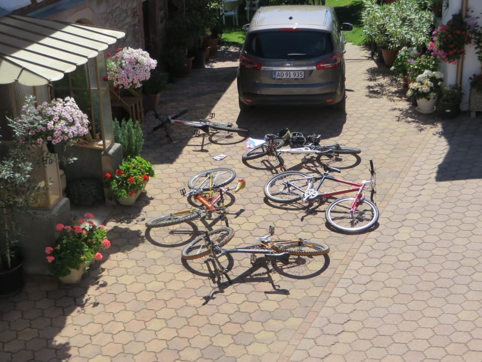Summer, Other, Cycling