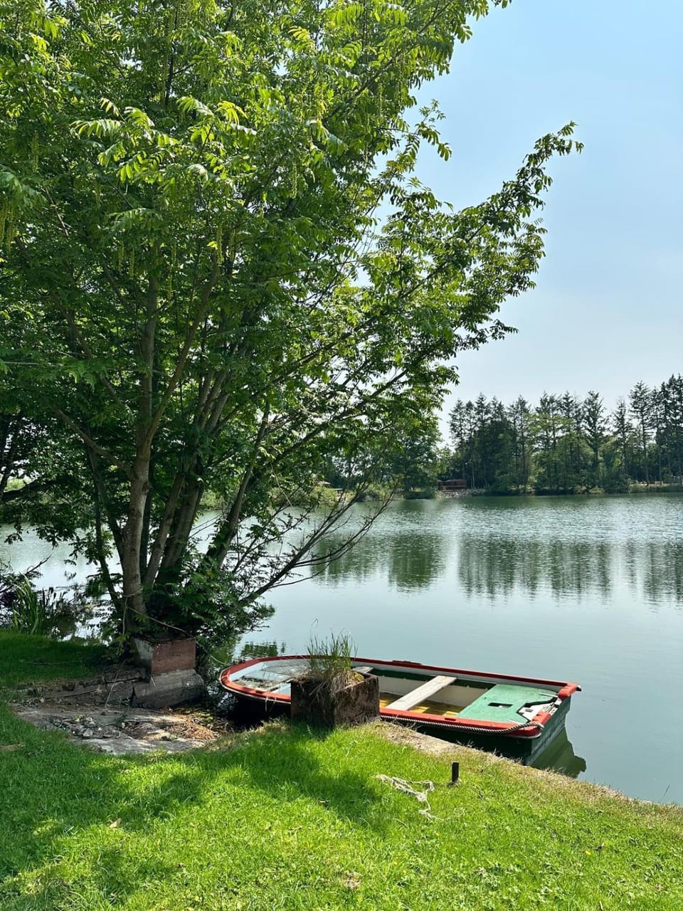 La Ramure - Tiny chalet et sauna privatif, vue lac et pêche en famille Chalet in Bourgogne-Franche-Comté