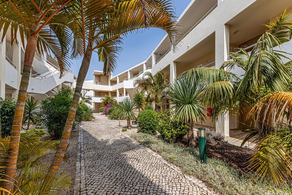 Patio, Garden, Garden view