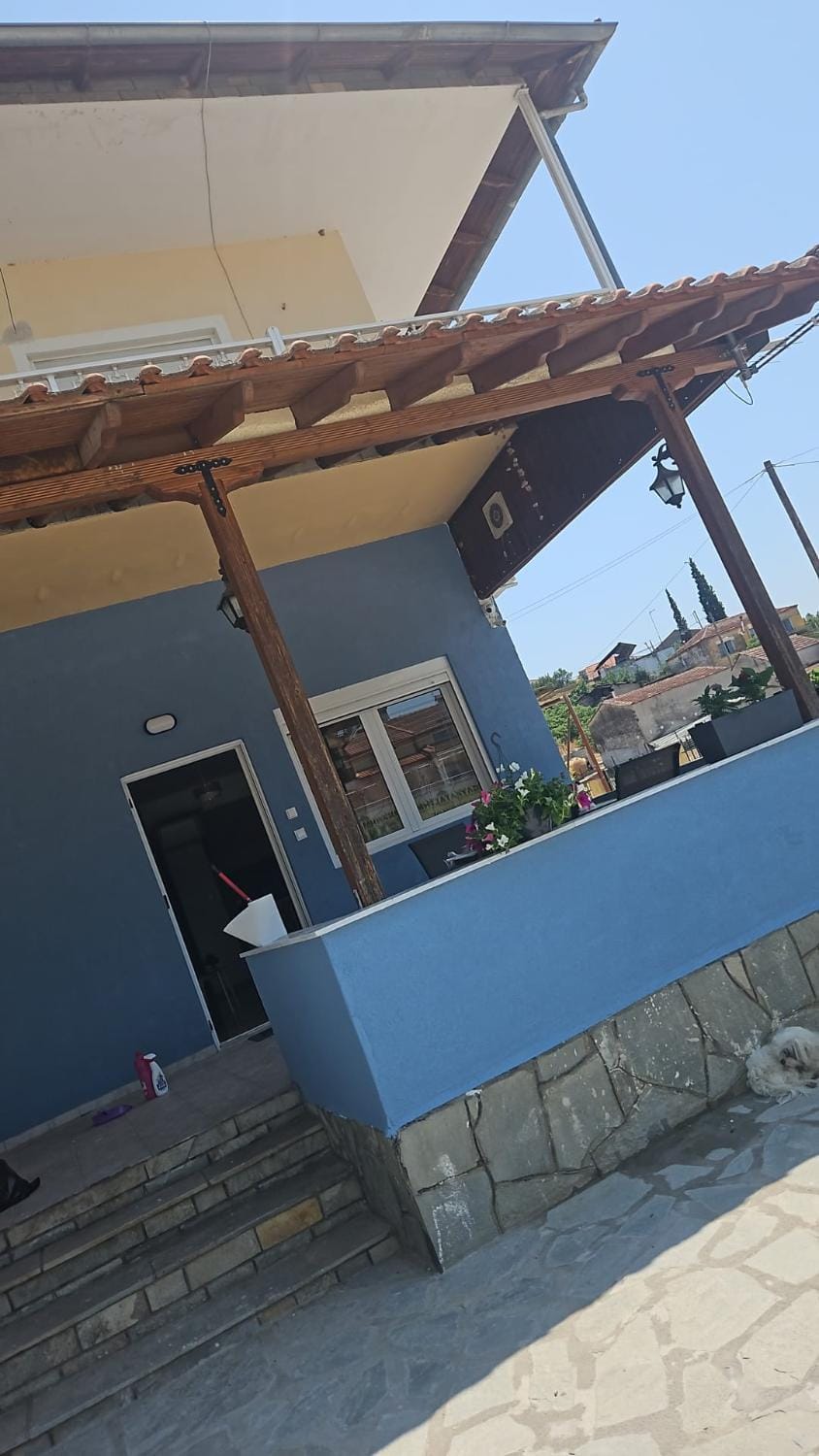 Property building, Day