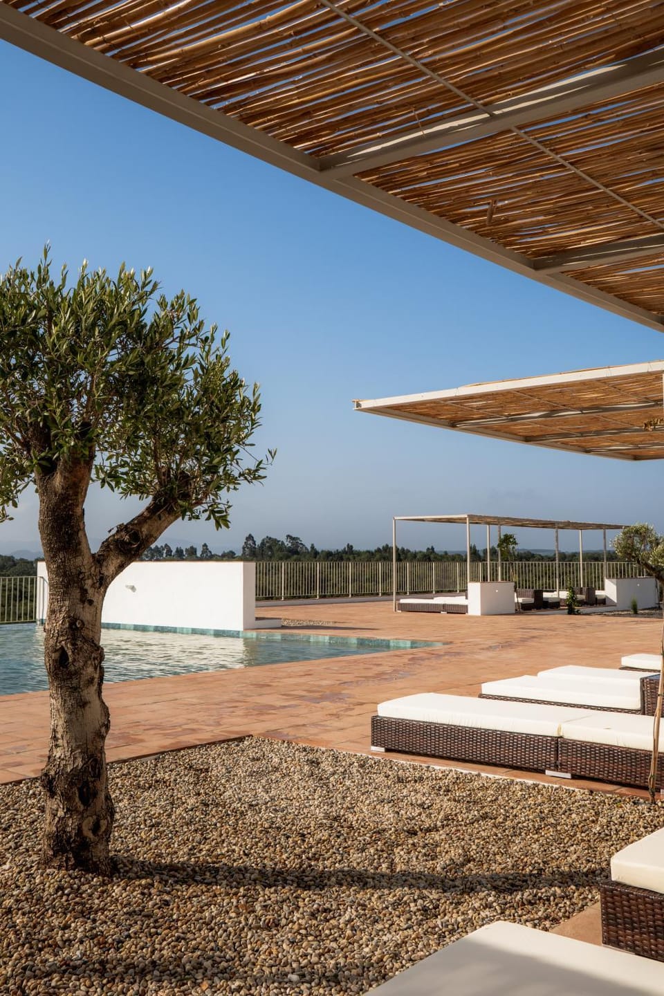 Patio, Day, Natural landscape, Swimming pool