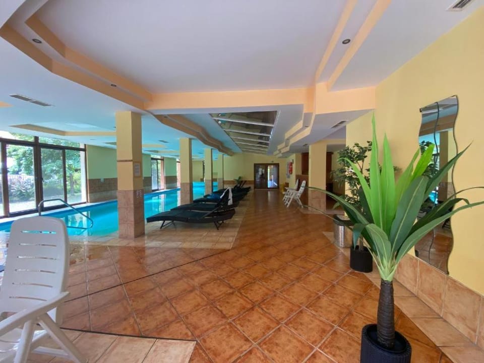 Pool view, Swimming pool, Swimming pool, sunbed