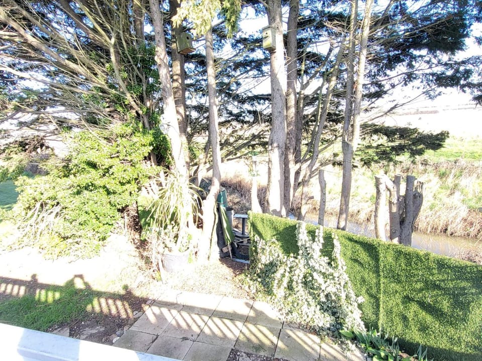 Garden, Balcony/Terrace