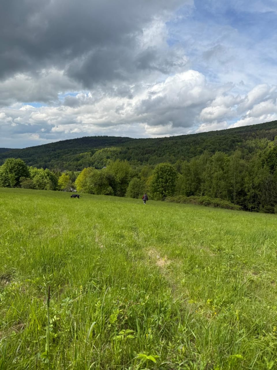 Dom Buczynowy i Buczynowe Jurty, Natura, relaks, las, Beskid Niski, góry Bed and Breakfast in Lesser Poland Voivodeship
