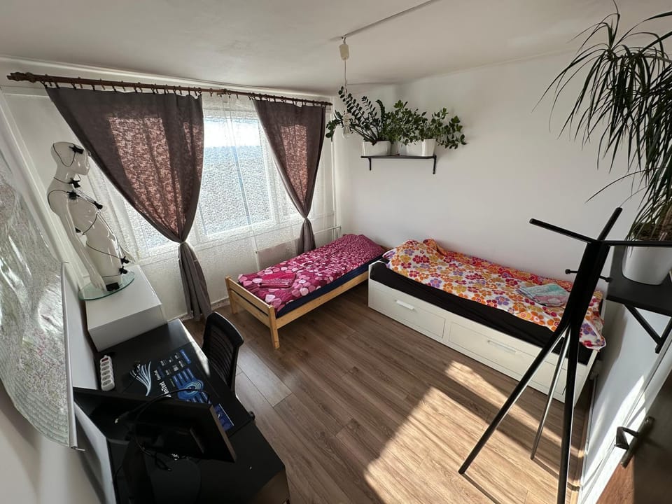 Bed, Photo of the whole room, Bedroom, bunk bed