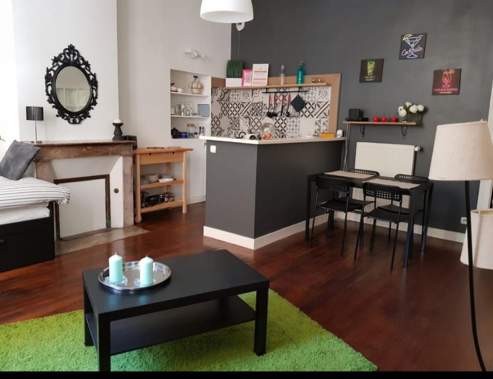 Vaste studio quartier historique Apartment in Blois