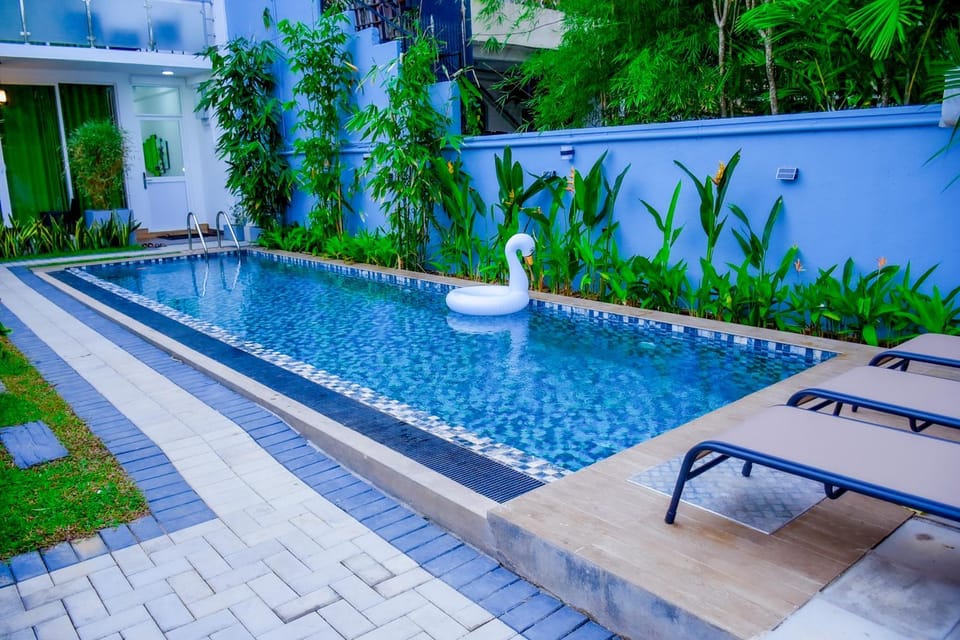 Garden, Garden view, Pool view, Swimming pool, sunbed