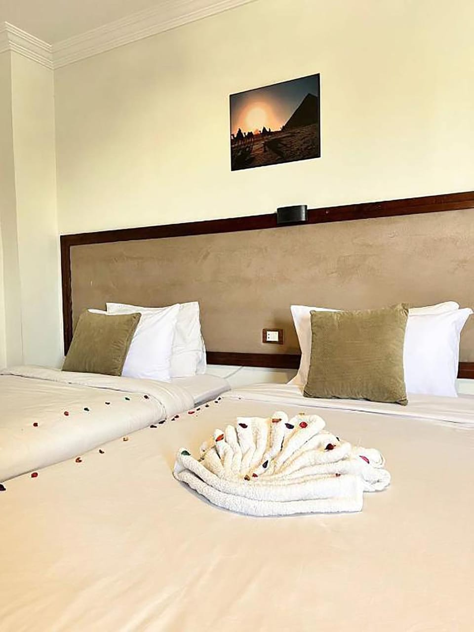 Bed, TV and multimedia, Photo of the whole room, Bedroom, towels