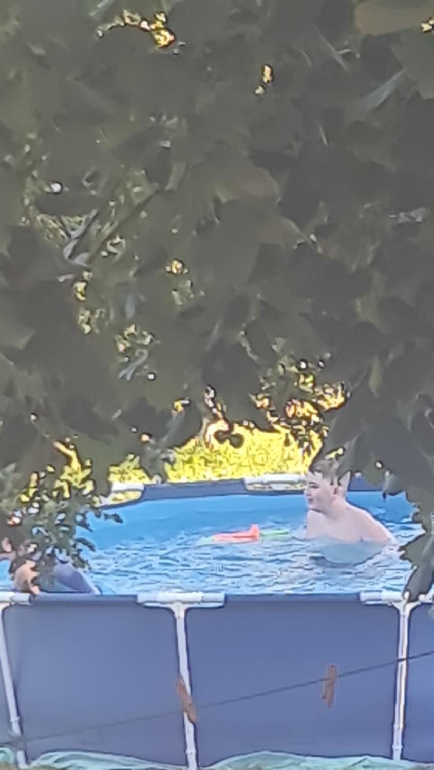 Day, Pool view, Swimming pool