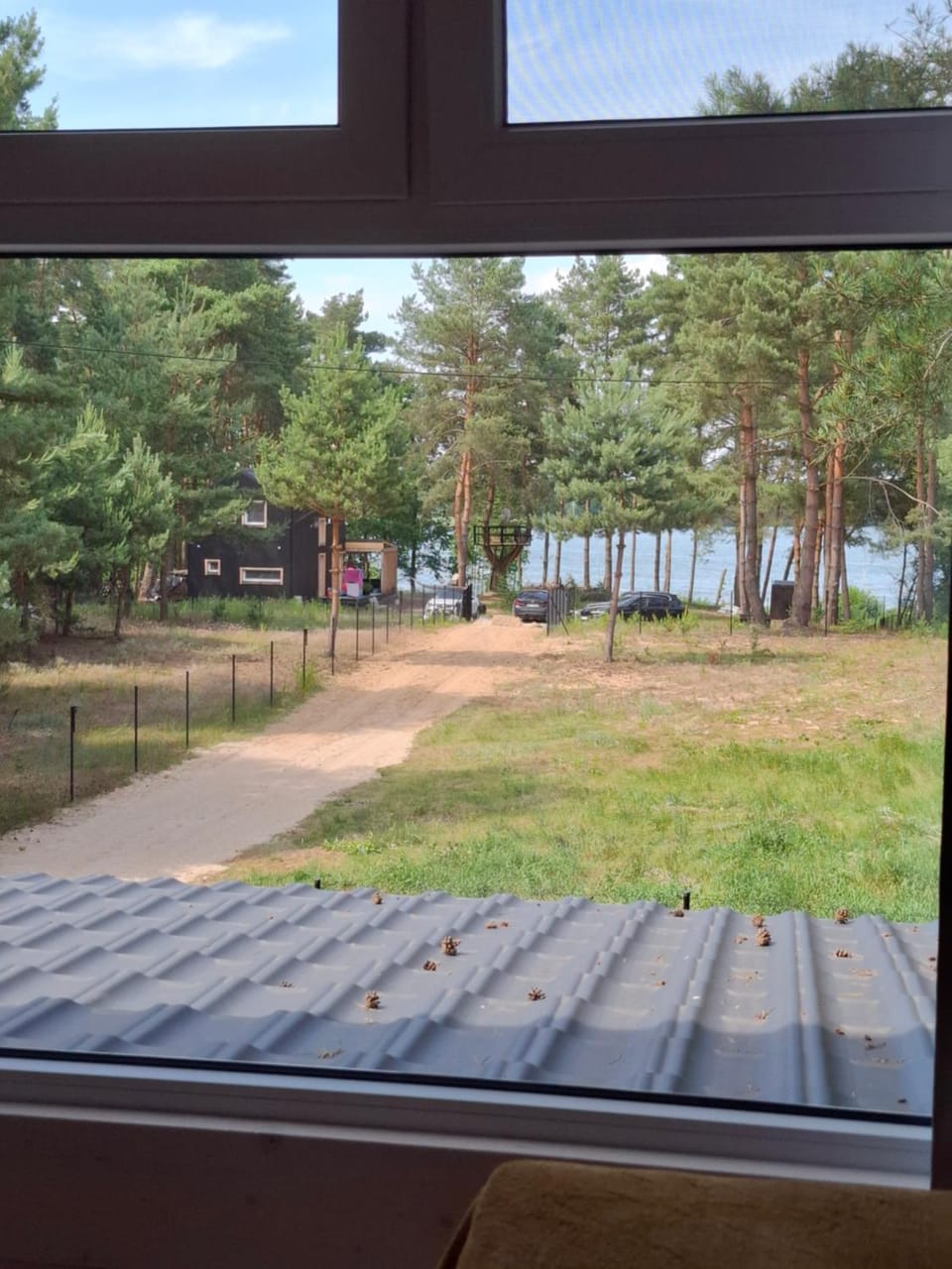 Lake view