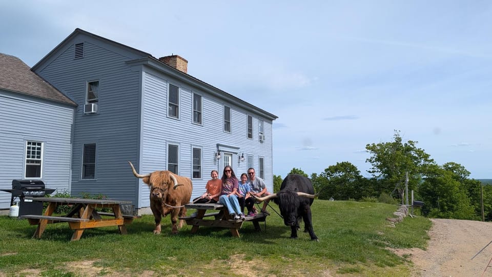 Family Friendly Highland Cattle Farm with Panoramic Views - A Apartment in Vermont