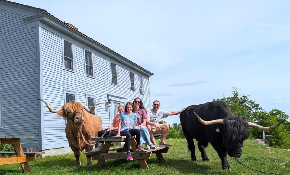 Family Friendly Highland Cattle Farm with Panoramic Views - A Apartment in New Hampshire