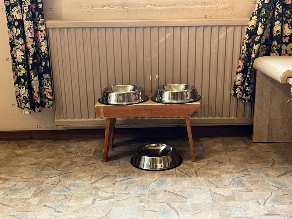 pet friendly