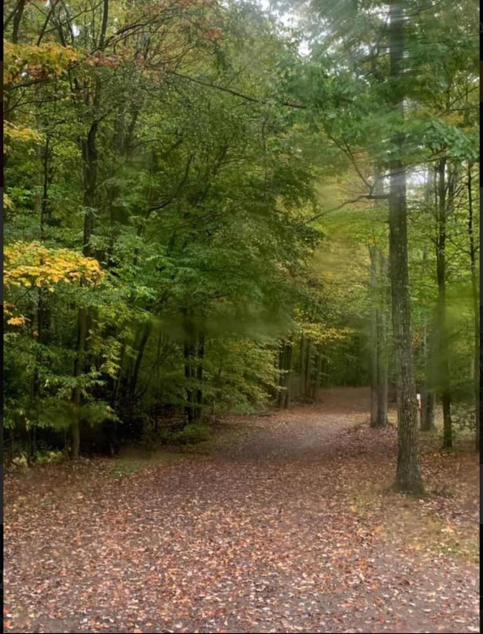 Primitive Camp Sites House in Pennsylvania