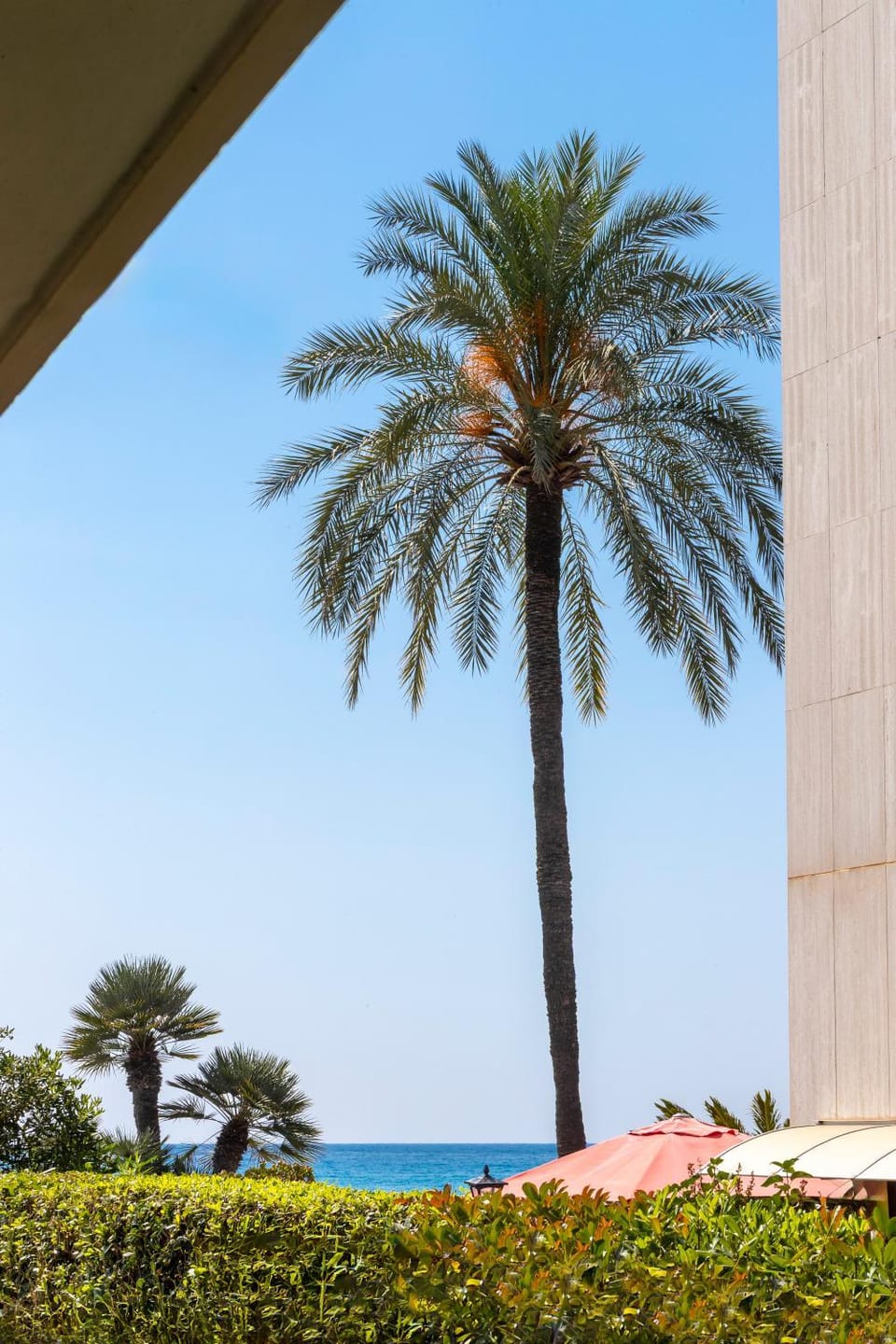 Garden, Garden view, Sea view