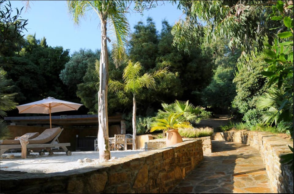 Day, Garden, Beach, Garden view, sunbed