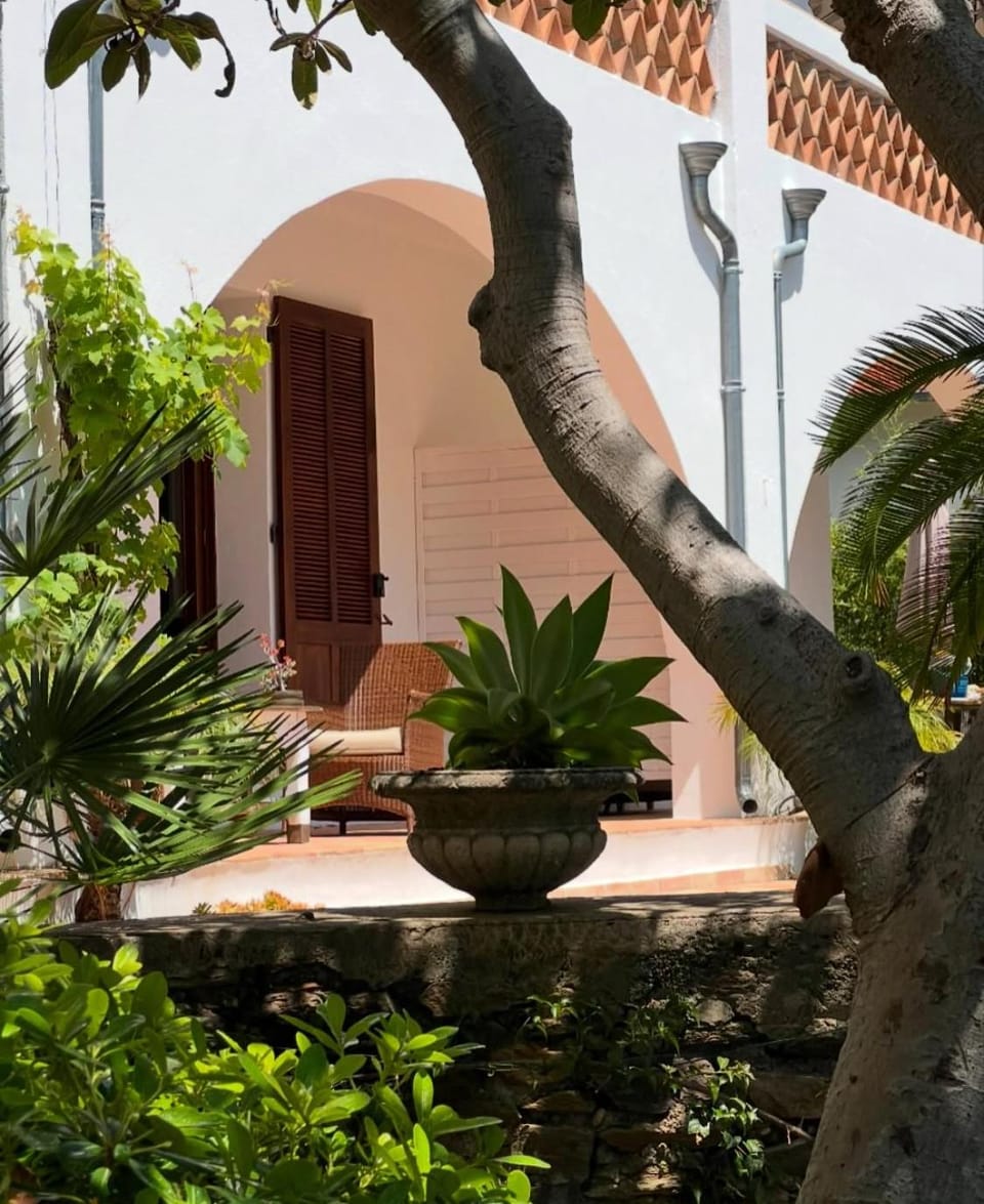 Property building, Garden