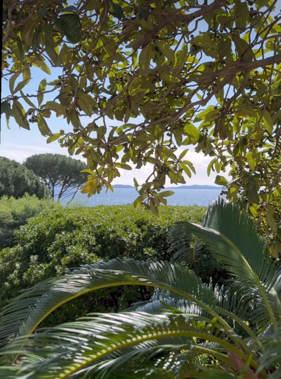 Natural landscape, Garden, Garden view, Sea view