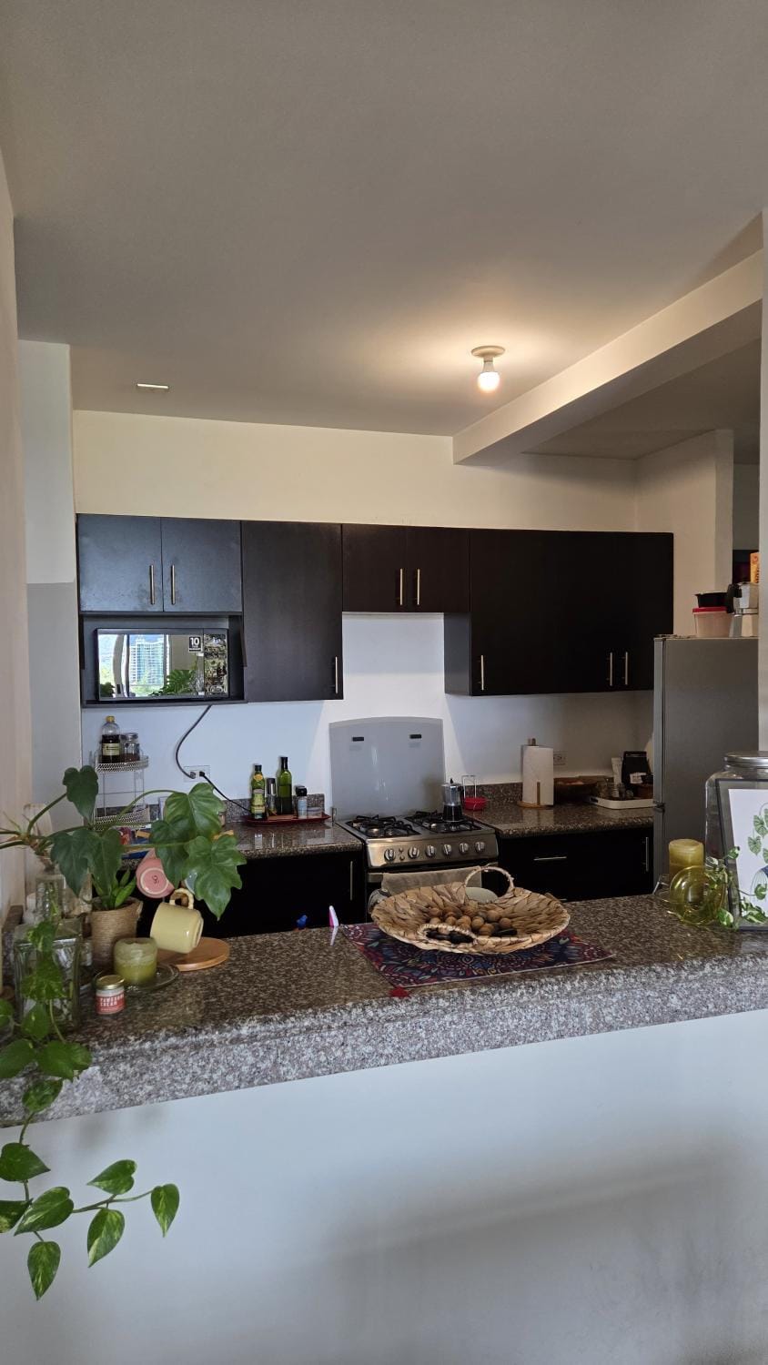 Kitchen or kitchenette, Kitchen or kitchenette