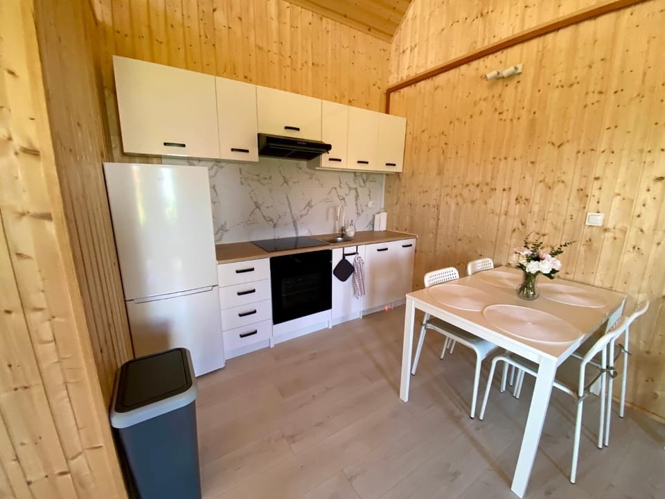 Kitchen or kitchenette, Dining area, oven, stove