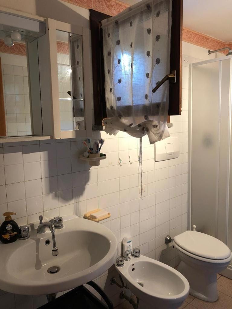 Shower, Toilet, Bathroom, bidet