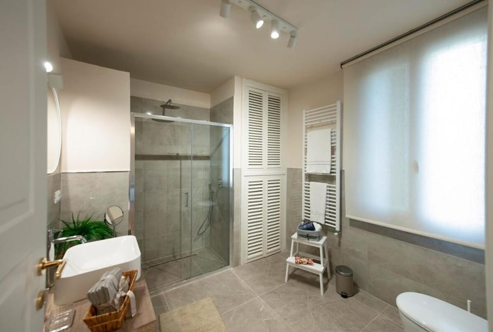 Shower, Toilet, Bathroom, towels