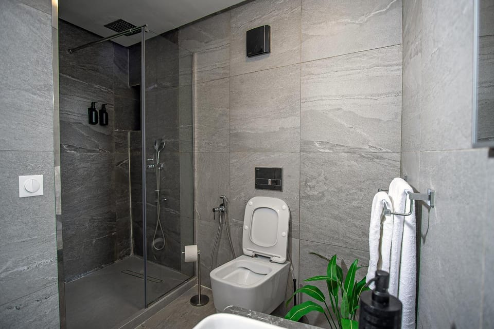 Toilet, Bathroom, towels