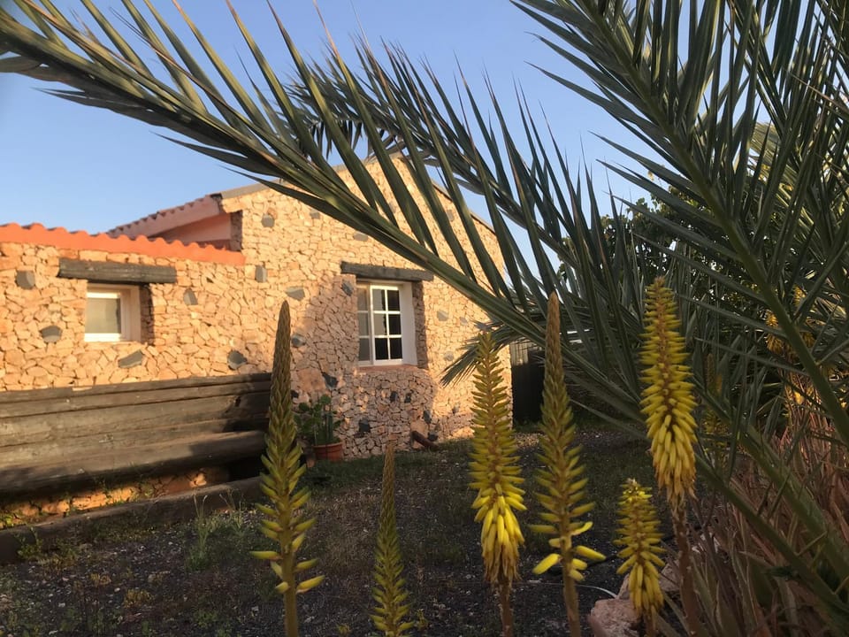 Property building, Garden view