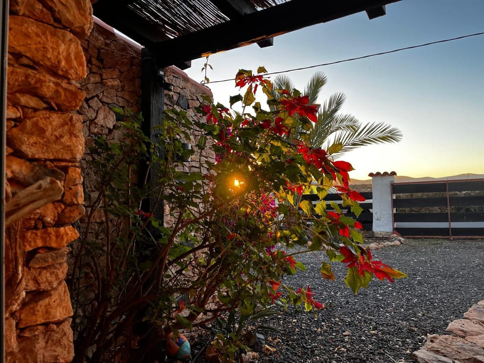 Property building, Garden, Guests