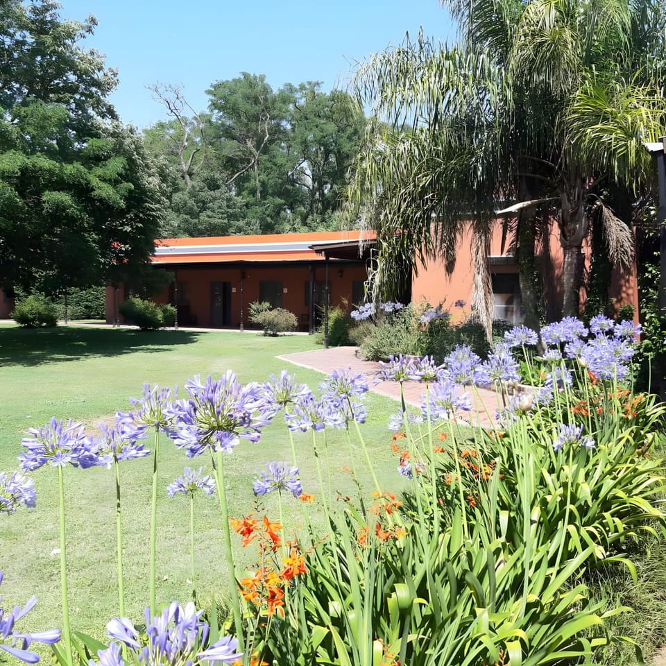 Garden, Garden view