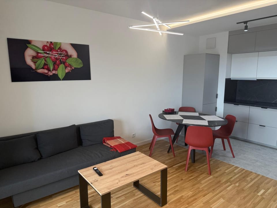 TV and multimedia, Kitchen or kitchenette, Living room, Seating area, Dining area