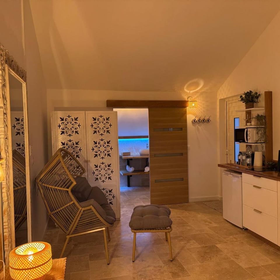 Le Cocoon SPA du MAIDO Apartment in Saint-Paul