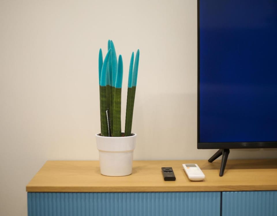 TV and multimedia