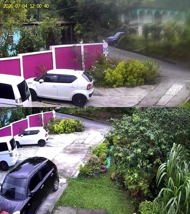 Anthurium Apartment Apartment in Dominica
