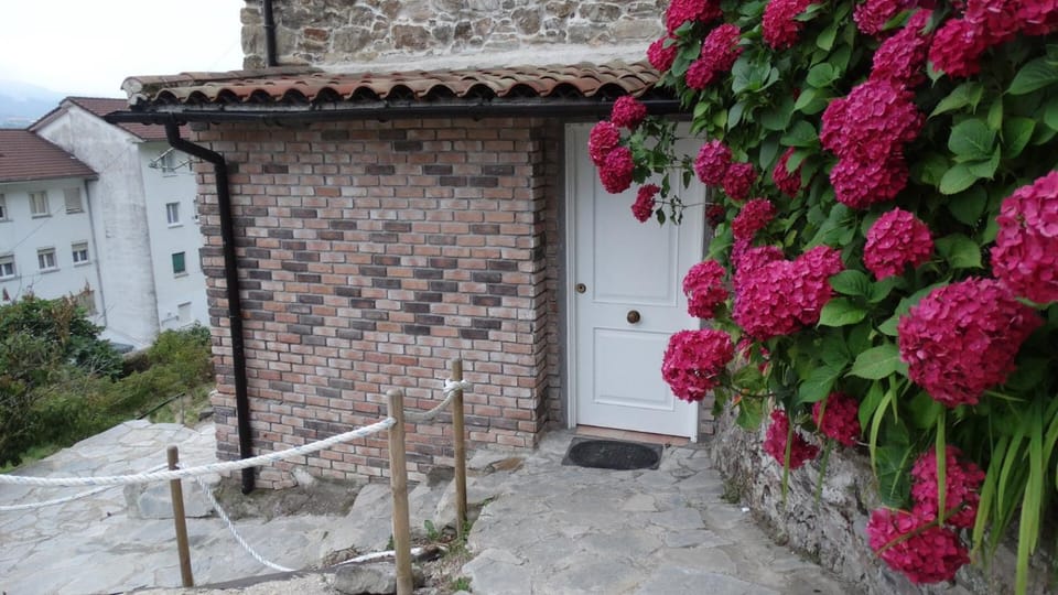 Fishing, Canoeing, Hiking, Diving, Pets