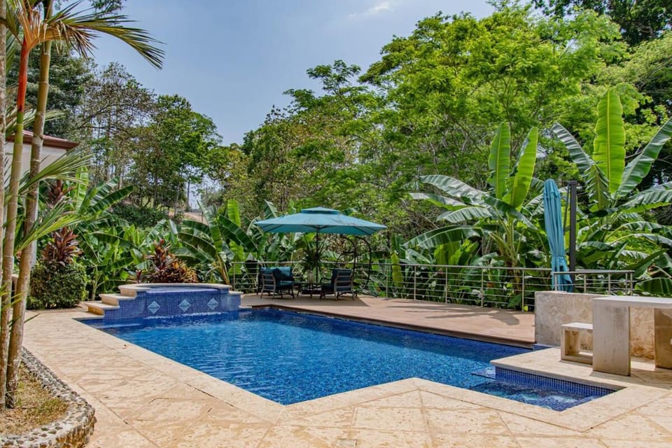 Garden, Swimming pool, sunbed