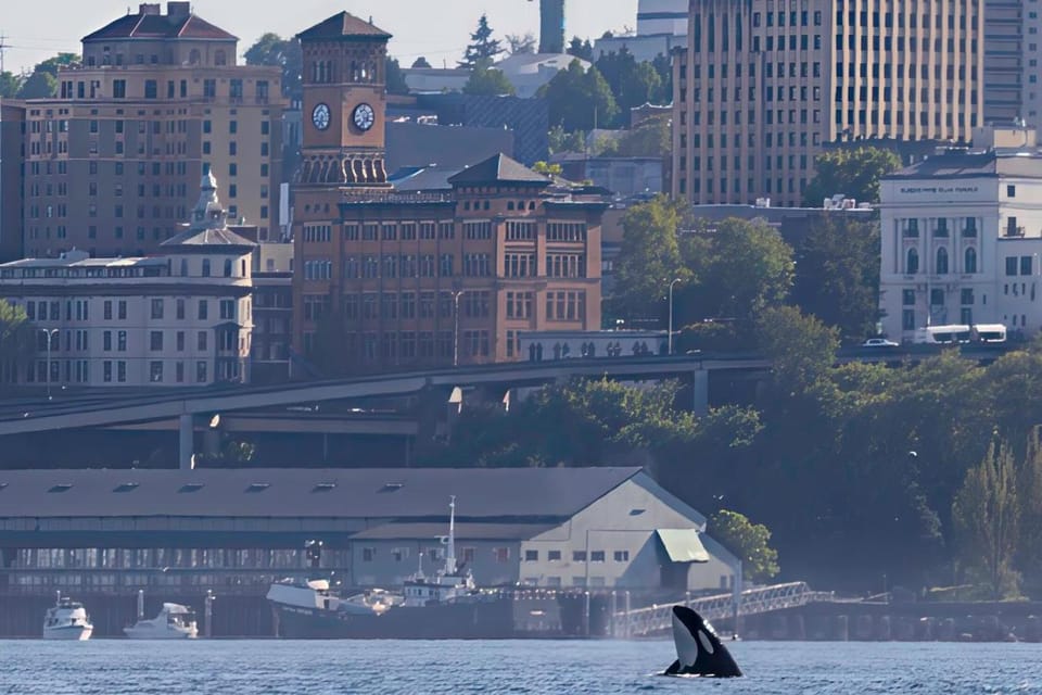 Natural landscape, City view