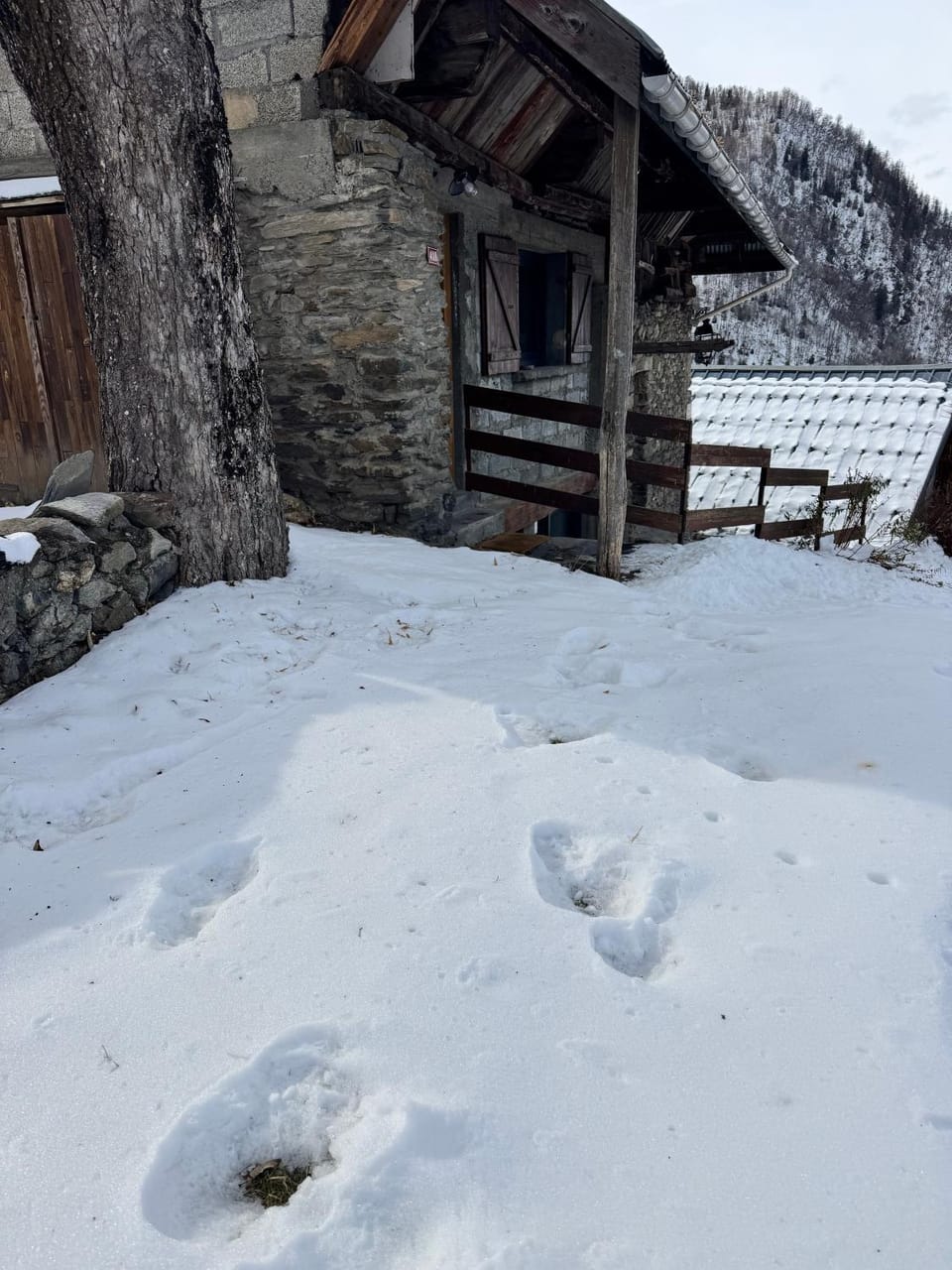 Les Écrins d'or - Maison Les Deux Alpes Chalet in Les Deux Alpes