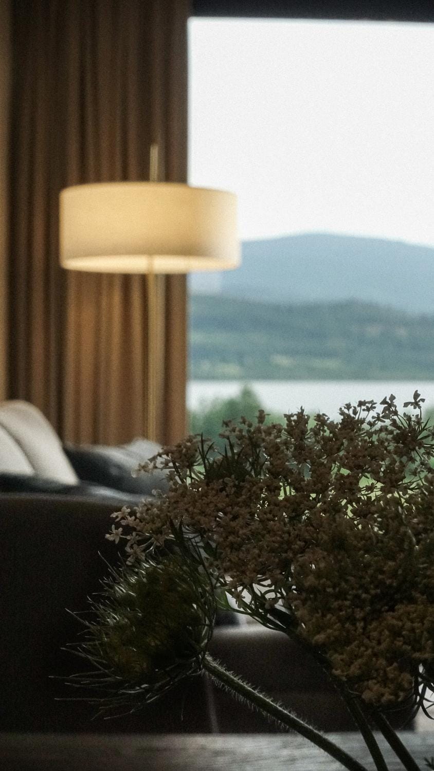 Natural landscape, Living room, Seating area, Lake view, Mountain view
