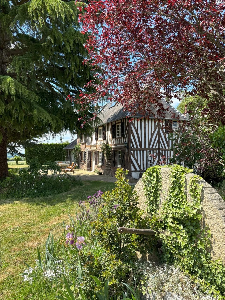 Property building, Natural landscape, Garden, Garden view
