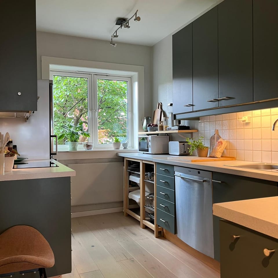 Kitchen or kitchenette, dishwasher