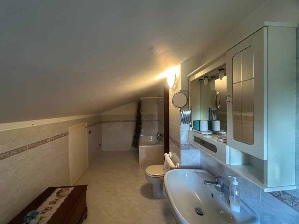 Toilet, Bathroom, Bath, bidet