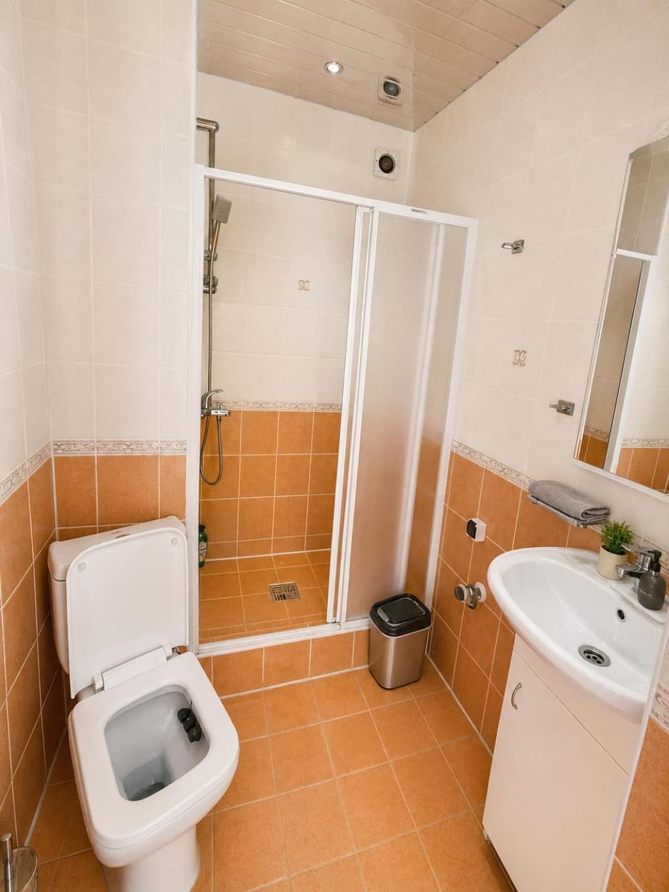 Apartment Ivana - free parking Apartment in Saxony